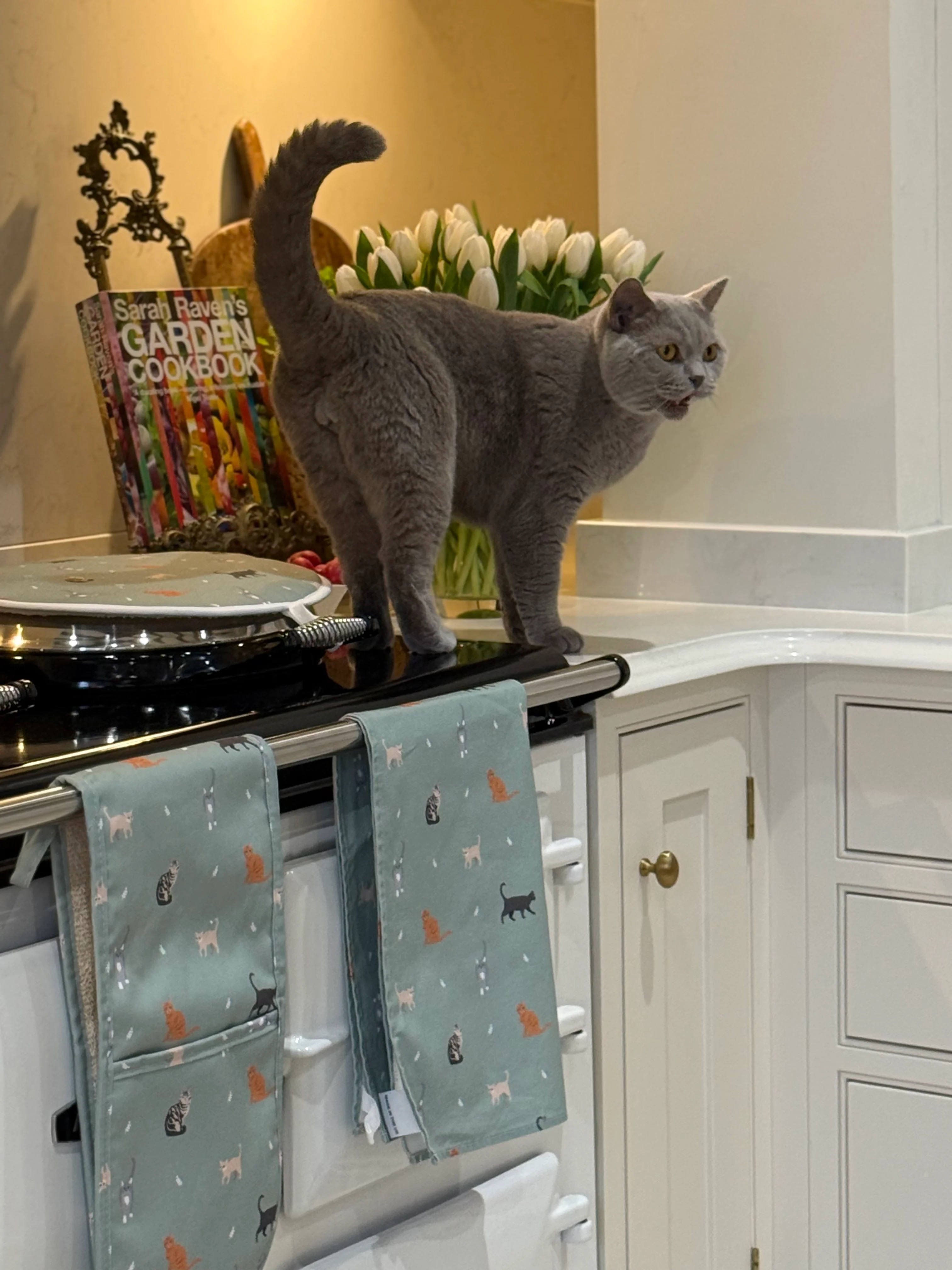 Cats Double Oven Gloves - Image 3