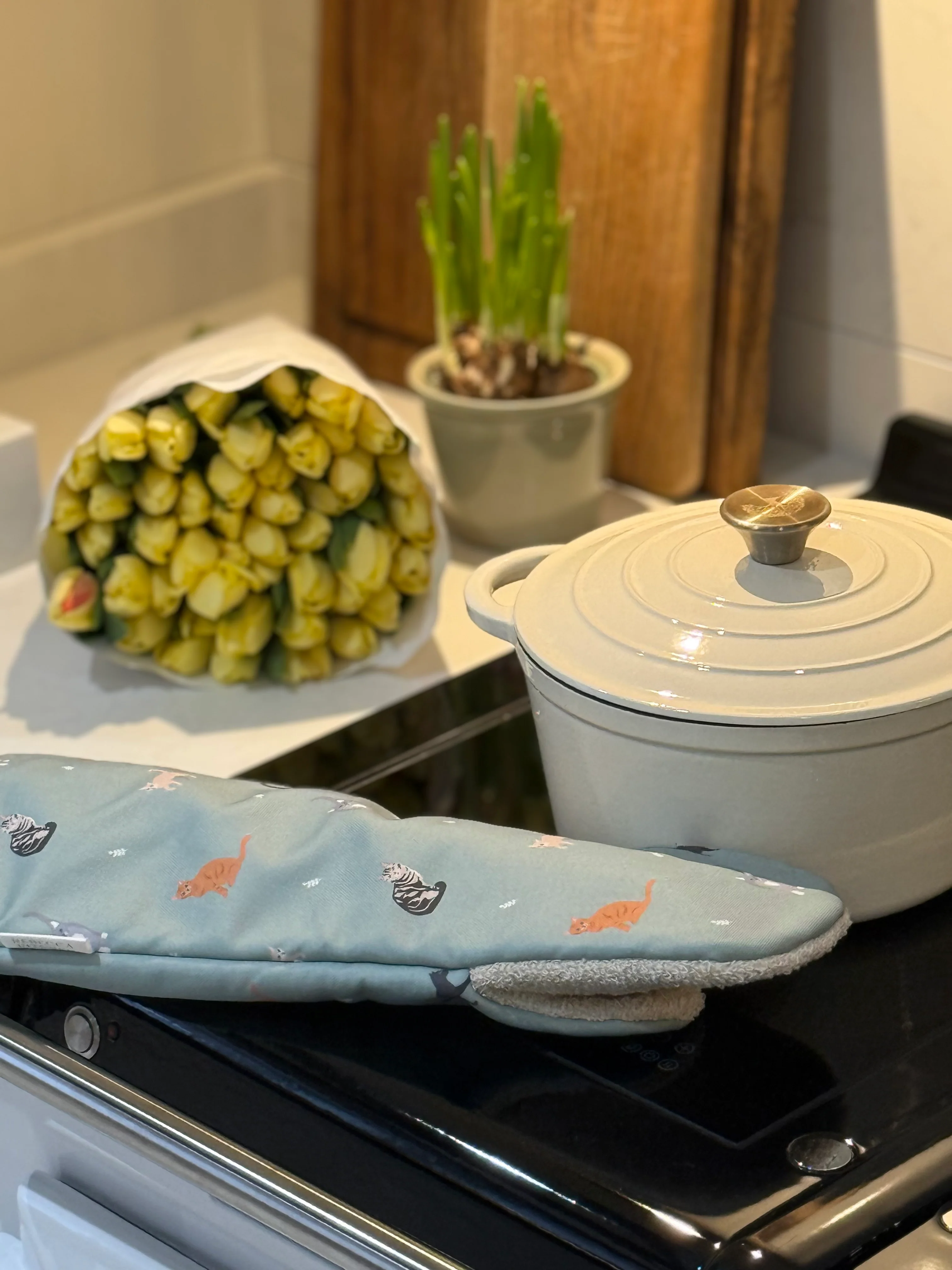 Cats Oven Gauntlet - Image 3