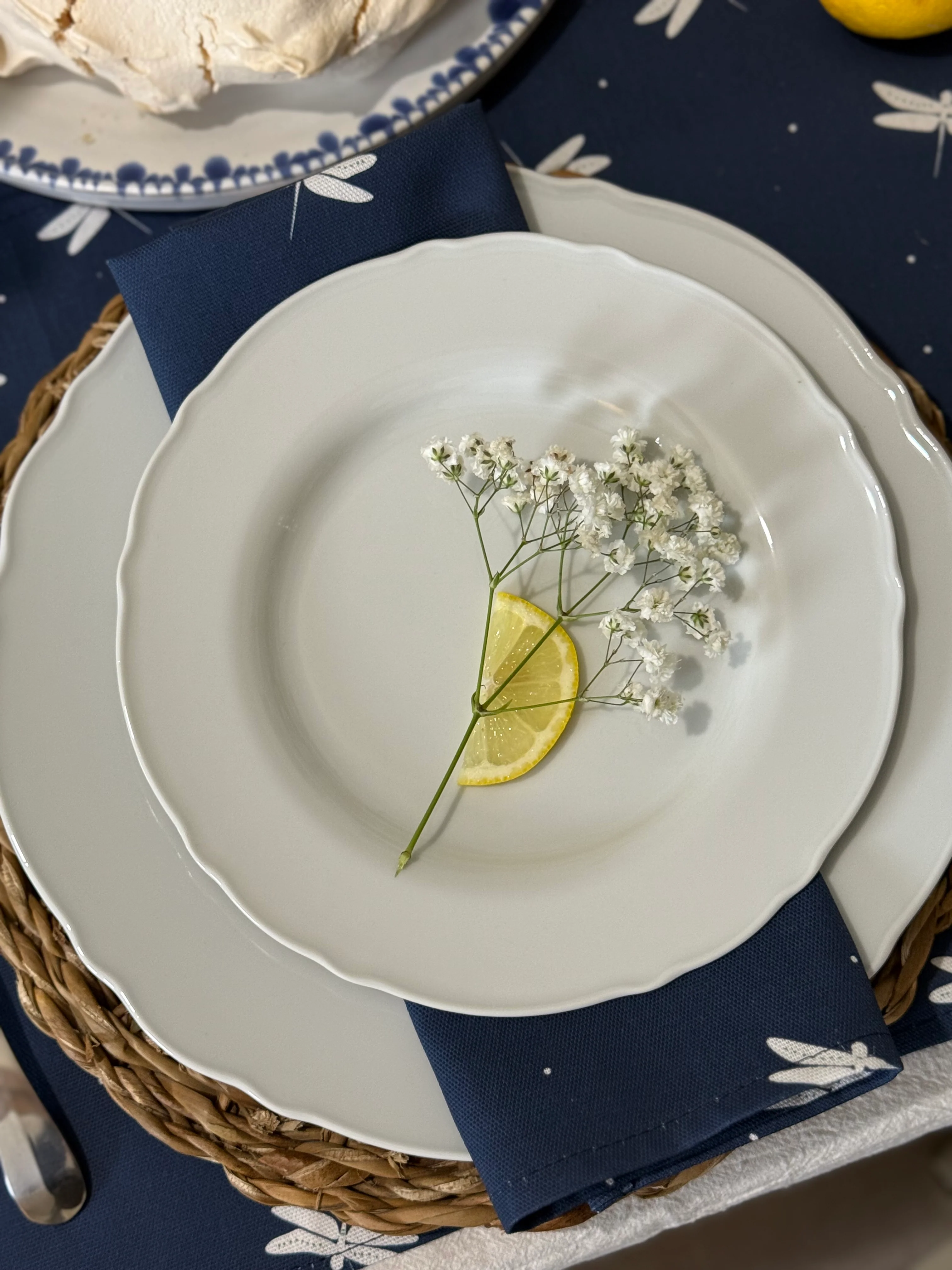 Dragonfly Napkins (set of 2)