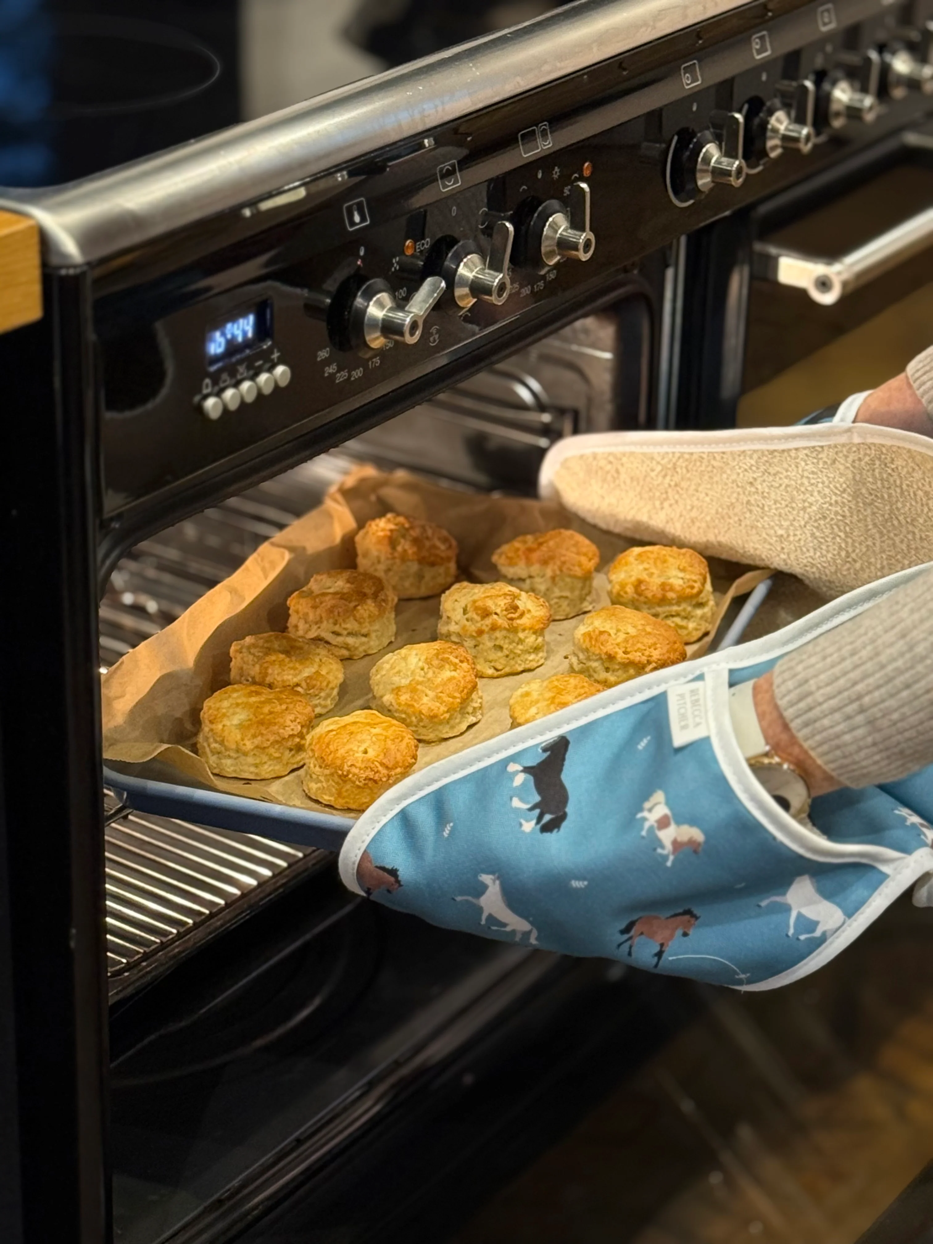Horses Double Oven Gloves - Image 4